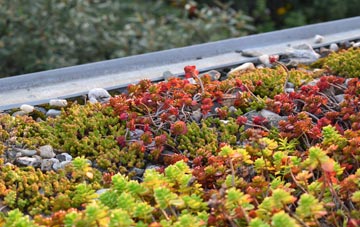 the cost of Up Sydling green roof installation