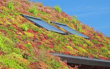 Up Sydling living roof systems