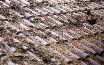 Up Sydling roof cleaning companies