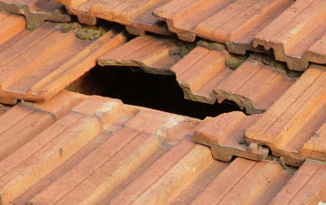 roof repair Up Sydling, Dorset